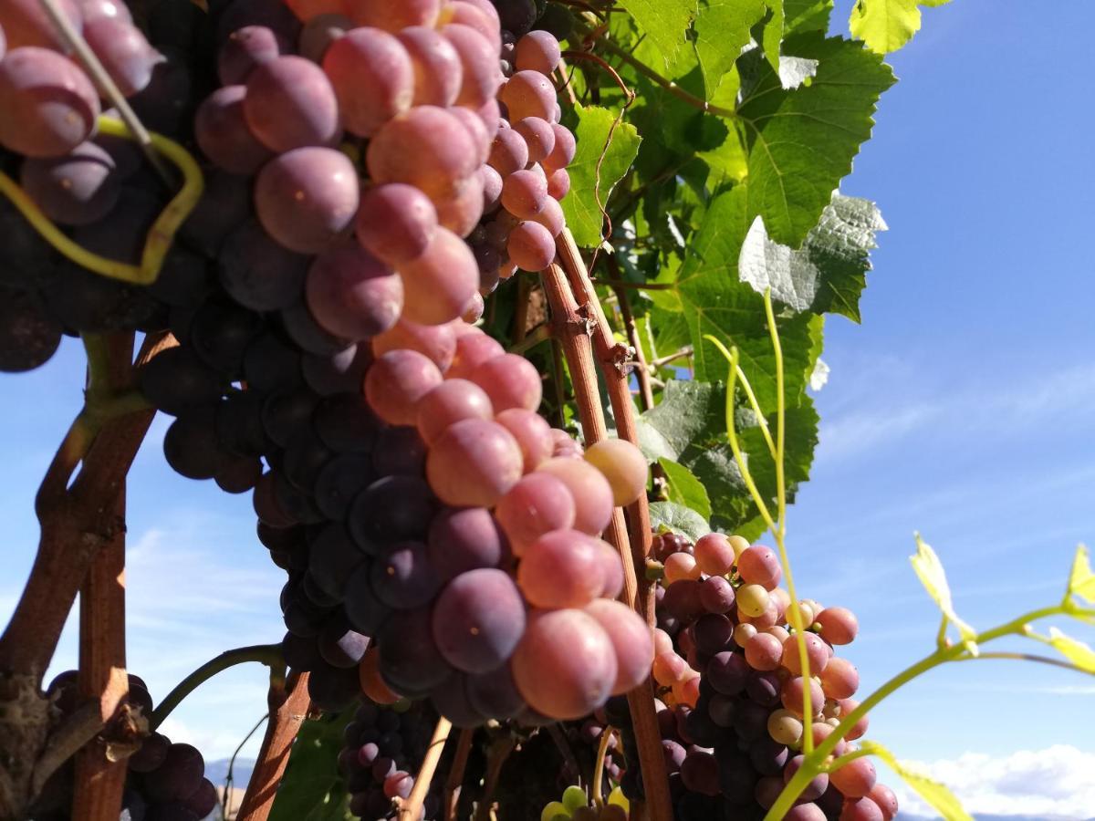 Apartament Ansitz Grustdorf Appiano Sulla Strada Del Vino Zewnętrze zdjęcie