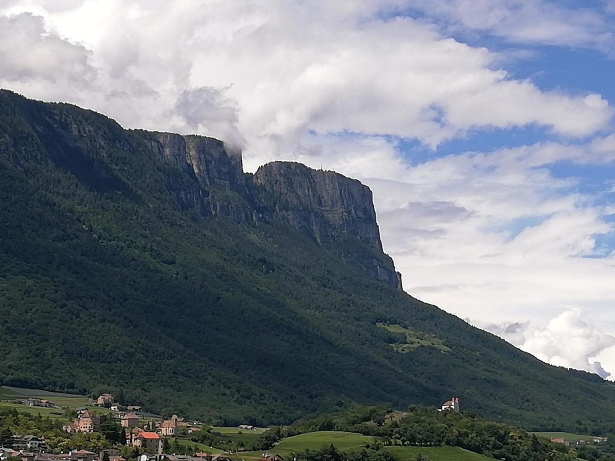 Apartament Ansitz Grustdorf Appiano Sulla Strada Del Vino Zewnętrze zdjęcie